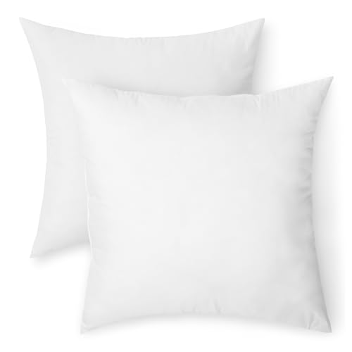 Amazon Basics Throw Pillow Insert, Down Alternative Fiberfill, Hypoallergenic, Machine Washable, 20 Inch, 2-Pack, for Sofa Bed Couch - size: 20 x 20 inches, style: 2 Pack
