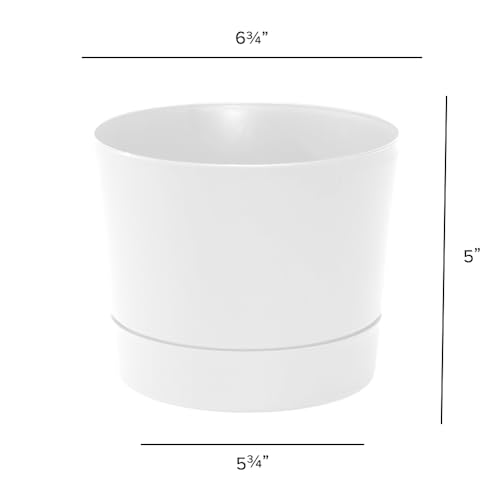 Root & Vessel Majestic Mid-Century Modern Low Profile Cylinder Pot, Matte White, 6.5" - color: Matte White, size: 6.5-Inch