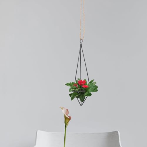 UPKOCH Geometric Air Plant Hangers 8 Pcs Black Metal Hanging Holders with Jute Rope for Small Air Plants Indoor Garden Wall Decor