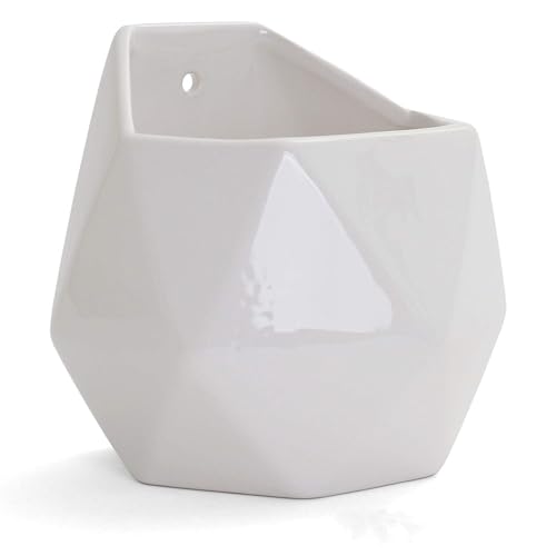 Succulent Wall Planters - Wall Vases - White Ceramic Wall Mounted Planters - Succulent Plant Pots - Hanging Vases for Living Wall (2 Pack/Geometric/White) - color: Geometric (White)