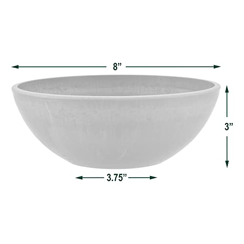 PSW Pot Collection Shallow Garden Bowl Planter for Succulents, Bonsai, Fairy Gardens, Herbs, 8-inch, Chocolate (Pack of 2) - color: Chocolate, size: 8 Inch (Pack of 2)