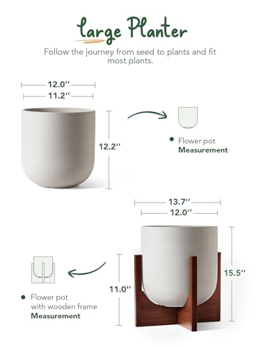 LE TAUCI 12 Inch Ceramic Planter with Acacia Wood Stand, Neutral Gray - color: Neutral Gray, size: 12 Inch