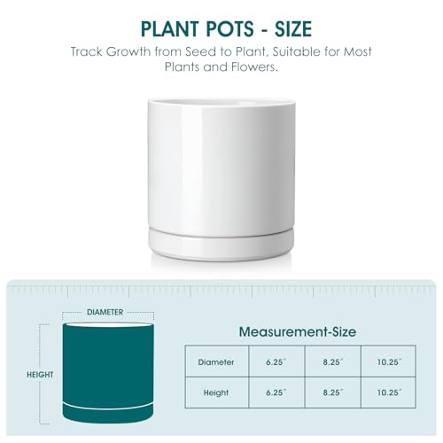 vancasso Ceramic Plant Pots, 8.25 Inch Ceramic Pot for Plants, Planters Pots for Indoor Plants with Drainage Holes, Flower Pot for Indoor House Plant, White - color: White, size: 8.25 Inch
