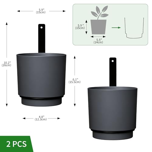 2 Pcs Wall Mounted Hanging Planter Vase for Indoor Outdoor Plants,Modern Metal Wall and Ceiling Hanging Flower Pot with Removable Flower Pot,Minimalist Decor for Herbs Succulents Flowers,5.9Inch,Grey - color: Gray, size: 5.9Inch