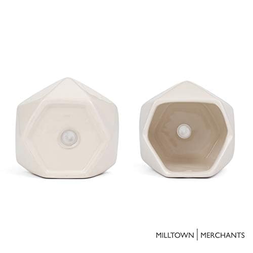 Succulent Wall Planters - Wall Vases - Black Ceramic Wall Mounted Planters - Succulent Plant Pots - Hanging Vases for Living Wall (2 Pack/Geometric/White) - color: Small White Geometric