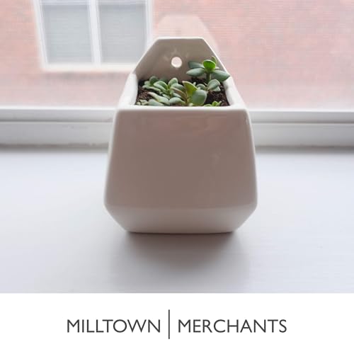 Succulent Wall Planters - Wall Vases - Black Ceramic Wall Mounted Planters - Succulent Plant Pots - Hanging Vases for Living Wall (2 Pack/Contemporary/White) - color: Small White Contemporary