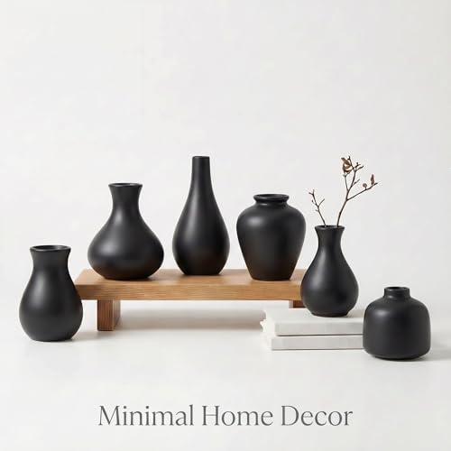 Black Ceramic Bud Vase Set of 10, Small Vases for Pampas Grass, Flowers, Mini Vases for Modern Home Decor, Minimalist Decor, for Living Room, Dining Table & Shelves - color: Black – 10-piece Set