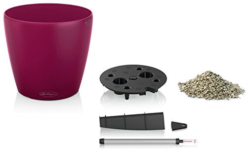Lechuza 13205 Classico Color 28 Self-Watering Garden Planter for Indoor and Outdoor Use, Purple Garnet Matte - color: Purple Garnet Matte, style: 28
