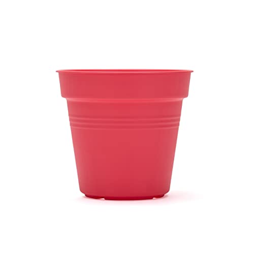 Mintra Garden Pots, 4 Pack Bulk Plastic Plant Pots with Drainage Tray, Round Indoor & Outdoor Decorative Planters with Drain Holes for Flowers, Herbs & Plants, 15cm Diameter – Coral, 5.9 in - color: Coral, size: 15cm Diameter (5.9in)