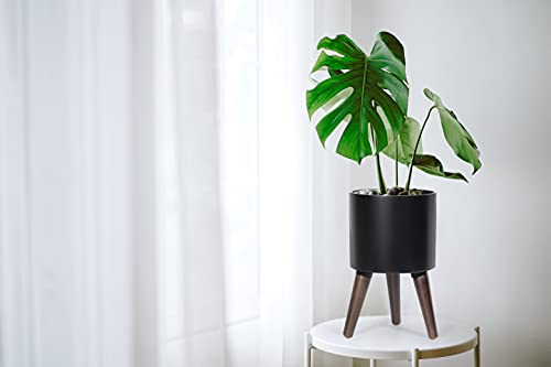 D'vine Dev 8 Inch Planter Pot with Wood Stand, Black, 88-O-A-2 - color: Matte Black, size: Small