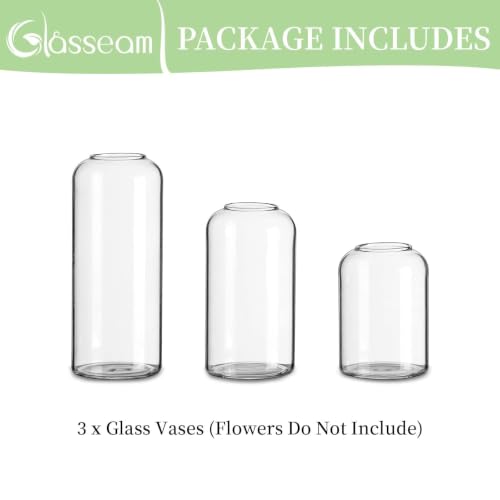 Glasseam Glass Bud Vases for Centerpieces, 3Pcs Modern Clear Small Vase Set - color: Clear