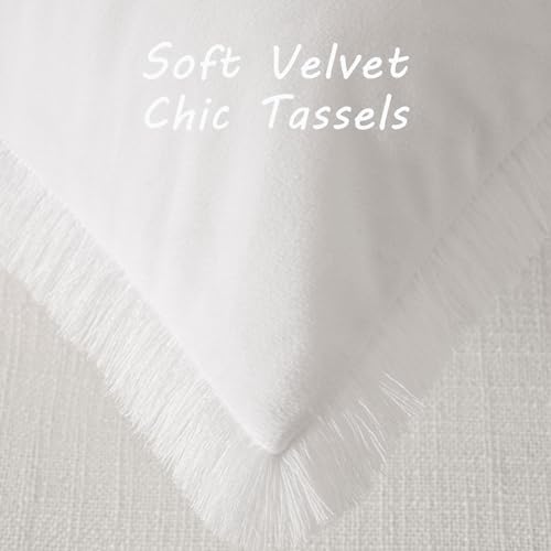 FUTEI Pack of 2 Velvet Decorative Pillow Covers 18x18 Inch, Cream White - color: Cream White, size: 18" x 18" (Pack of 2)