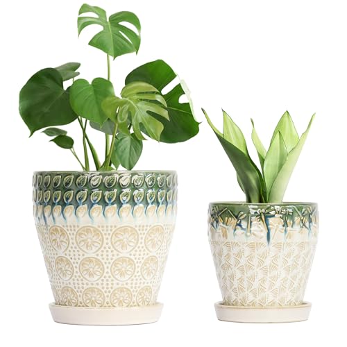 Ceramic Planter Pots for Indoor Plants, 8Inch + 6 Inch Plant Pot with Drainage Holes, Saucers and Mesh Pads, Succulent Orchid Flower Pot -Set of 2 - size: set of 2-8inch+6inch