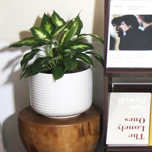 6" Ceramic Plant Pot w/Drainage, White Planter Indoor Outdoor