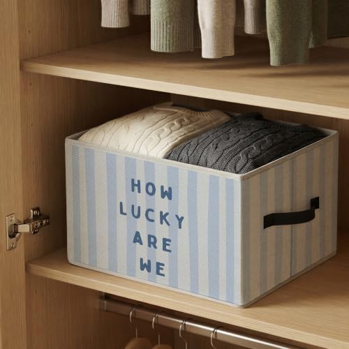 How Lucky Are We Preppy Blue Striped Storage Basket Organizer - color: How Lucky