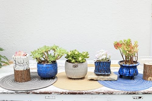 Ceramic Planter Pots w/Drainage, 3 Inch Set of 2, Indoor Outdoor Home Patio Garden Plants Flower Succulent, Crackle-Texture Square - style: Crackle-Texture Square-3" (2 pack)