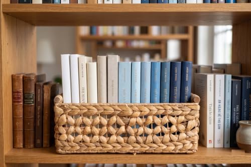 NAYA 15" Water Hyacinth Medium Wicker Shelf Basket with Handles - size: 15.0 x 10.8 x 6.1in