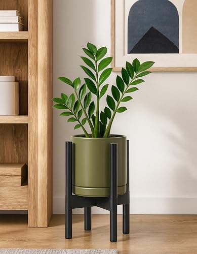 D'vine Dev Ceramic Pot with Ebony Wood Stand, Olive, 8 in, 55-B-M-J - color: Olive Pot + Ebony Stand, size: 8 Inch