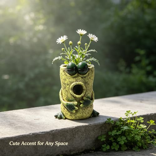 Cute Frog Resin Succulent Planter with Drainage Hole Garden Desk Decor Gift - color: B02-frog