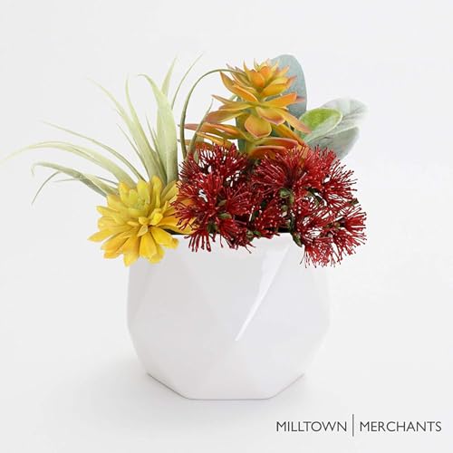 Succulent Wall Planters - Wall Vases - White Ceramic Wall Mounted Planters - Succulent Plant Pots - Hanging Vases for Living Wall (2 Pack/Geometric/White) - color: Geometric (White)