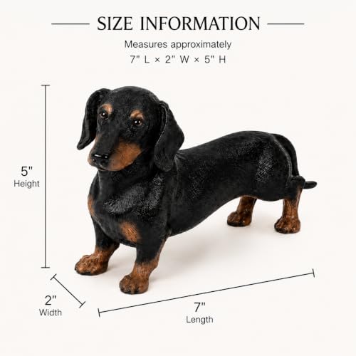 Comfy Hour Dachshund Statue Figurine, 7 Inch Black and Brown Realistic Resin Dog Sculpture, Small Wiener Dog Decor for Shelf, Desk, Bookshelf, Mantel, Entryway, Gift for Pet Lovers