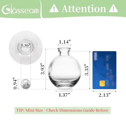 Glasseam Glass Bud Vase for Centerpieces, 6Pcs Clear Small Flower Vase Set - color: Clear, size: 2 Sets