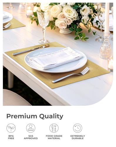 Gold Frame Placemats Set of 4 - Heat Resistant Woven Vinyl - color: C1- Gold Frame, size: Set of 4