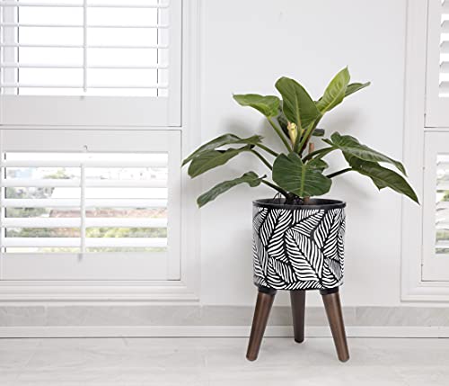 D'vine Dev 8 Inch Planter Pot with Wood Stand, White/Grey, 88-L-A-7 - color: White/Grey, size: Small