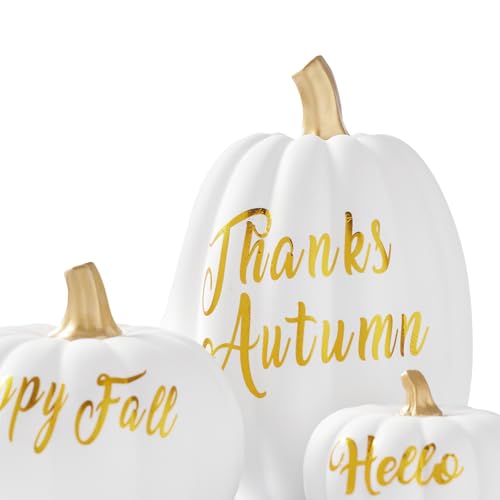 DN DECONATION 3Pcs Fall Pumpkin Decorations for Home, Faux Words Pumpkin