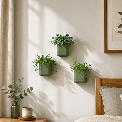Phoenix Vine 3.5 Inch Wall Mounted Self-Watering Planter Pot for Indoor Houseplants and Herbs | Hanging Planter for Window Sills, Bathroom Walls, Home & Office Décor, Olive, Set of 3, 01-A-F-3 - color: Olive, size: 3.5" (3 Pack)