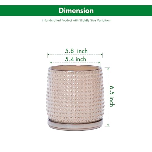D'vine Dev Beaded Ceramic Pot with Saucer, 6 in, Light Brown, 27-C-X-4 - color: Light Brown, size: 5.8 Inch