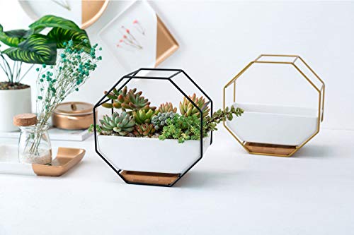 VanEnjoy 7" White Ceramic Wall Planters Vase and Copper,Drainage Hole with Bamboo Tray - Succulent Pot Air Plants Mini Cactus Artificial Flowers Hanging Geometric Hexagon Wall Decor (Black Metal)
