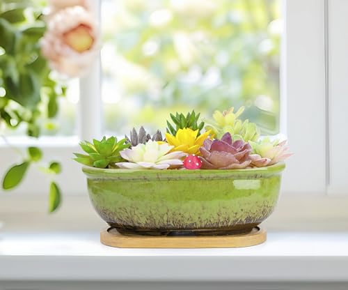 Succulent Pots, 1 Rectangle Planter + 1 Ceramic Bonsai Pots with Drain Tray - color: Green