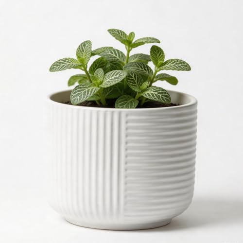 6" Ceramic Plant Pot w/Drainage, White Planter Indoor Outdoor