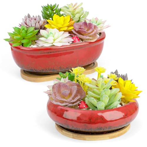 Succulent Pots, 1 Rectangle Planter + 1 Ceramic Bonsai Pots with Drain Tray - color: Red