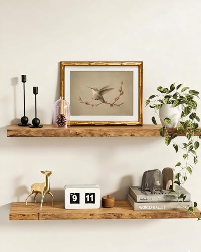 InSimSea Gold Bamboo Framed Wall Art, Vintage Spring Bird Prints, 11x14In - color: Birds on Tree Branches