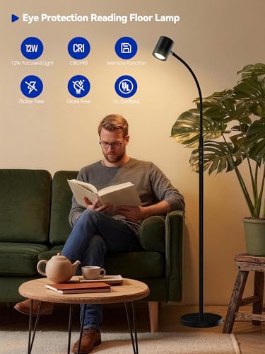 GLOWRIUM LED Reading Floor Lamp, 62" Floor Task Lamp, Adjustbale Floor Lamp - style: Reading Lamp (H2B)