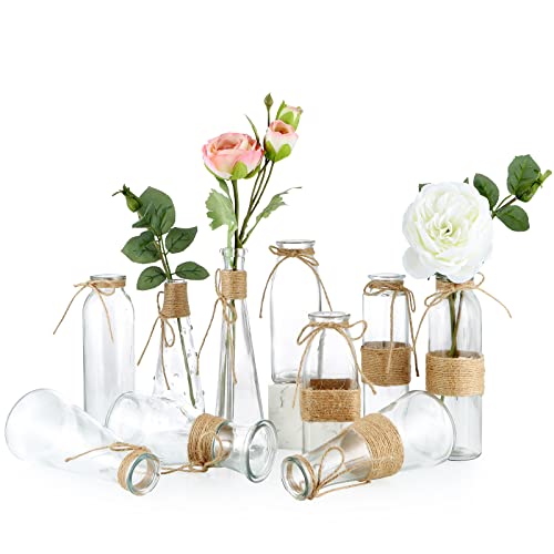 MDLUU Clear Glass Bud Vase in Bulk, 10Pcs Assorted Decorative Glass Bottles with Rope, Different Sizes Vintage Jar for Wedding Centerpiece, Party, Reception Table, Home Decor