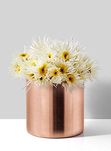 Serene Spaces Living Copper Plated Cylinder Vase, Decorative Metal Cylinders for Floral Centerpieces at Wedding, Events, Parties, Home Dining Table, Rose Gold Vases, Measures 5" Tall & 5" Diameter - color: 5" Cylinder Vase