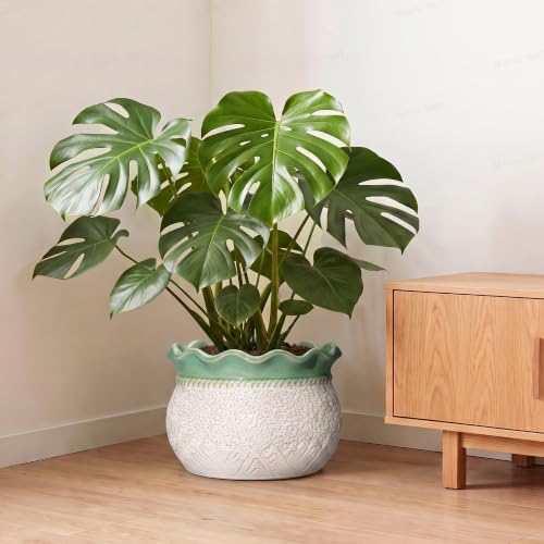 Ceramic Plant Pots 12 Inch, Ceramic Pots for Plants, White-Green - color: White-green, size: 12 Inch
