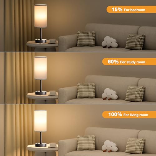 Fenmzee 17.4" Grey Lamp for Bedroom - Dimmable Touch, USB A+C, AC Outlet - color: Grey - Grey, size: 17.4"