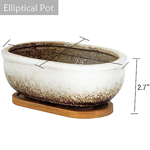 Succulent Pots, 1 Rectangle Planter + 1 Ceramic Bonsai Pots with Drain Tray - color: White