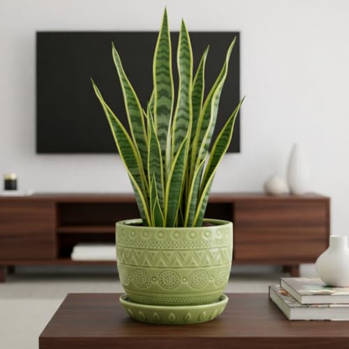 G EPGardening Ceramic Plant Pot, 5.5 Inch, Green - color: Triangle Green