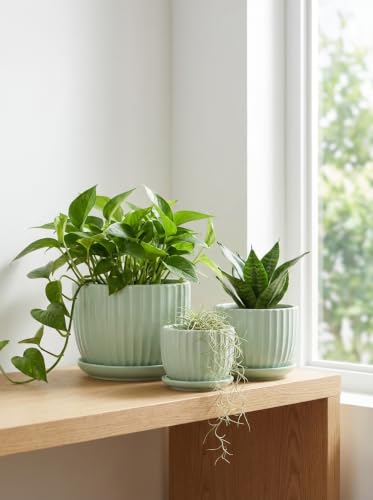 Flower Pots,Ceramic Plant Pots with Drainage Holes Set of 3(Light Green) - color: Light Green