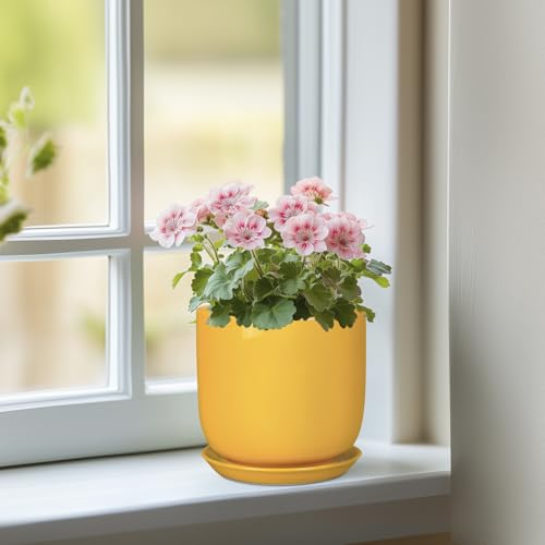 Plant Pot 5 Inch - Modern Round Indoor Ceramic Planter with Drainage Hole and Tray for Succulent Cactus Herbs Plants, Home House Garden Office Decor, Yellow - color: Gloss Yellow, size: 5.3 Inch
