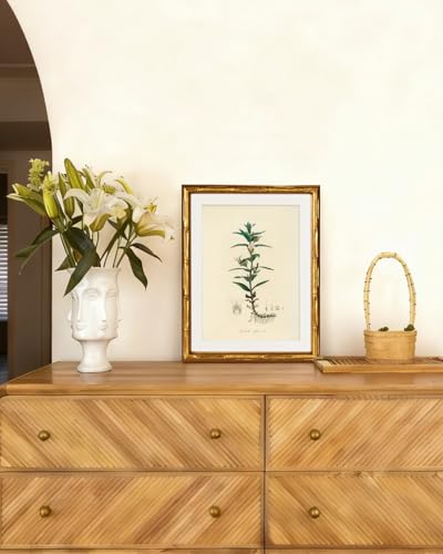 InSimSea Gold Bamboo Framed Wall Art, Vintage Kitchen Herbs Prints, 11x14In - color: Hyssopus Officinalis