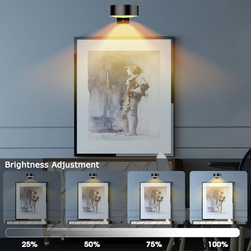 Rechargeable Battery Painting Light Picture Lights with Remote Control, Magnetic LED Art Lights for Framing, Dimmable and Timer-Equipped, 3 Lighting Modes,6Pack Gold - color: Gold, size: 6 Pack
