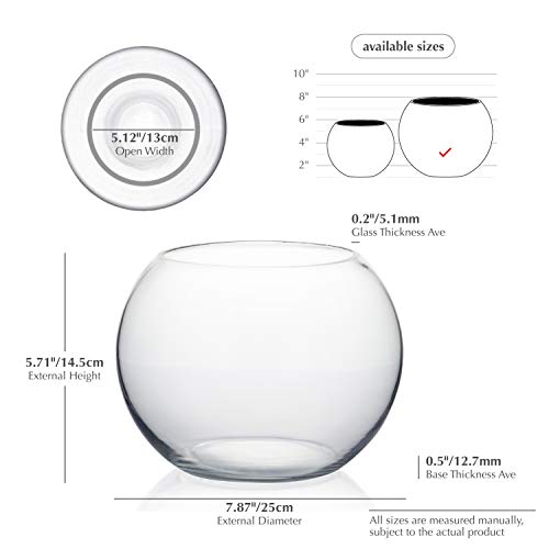 WGV Bowl Glass Vase Bulk, Diameter 8", Height 6", Open Width 5", (Multiple Sizes Choices) Clear Bubble Planter Terrarium Fish Bowl for Wedding Event Home Decor, 6 Pieces (VBW0008A) - size: 8"D 1 Case