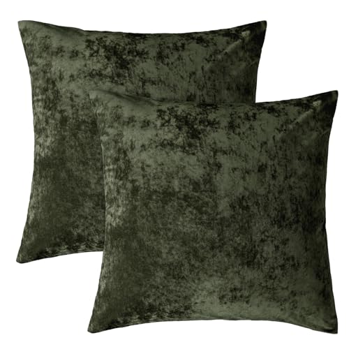 PHF Truly Velvet Euro Shams 26" x 26", Smokey Olive, No Insert, 2 Pack - color: Smokey Olive, size: 26" x 26" (Pack of 2)