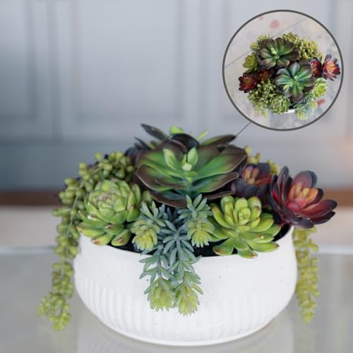CG Hunter, Round Faux Succulent Arrangement, 12 in, White, Home Decor - size: 12" Round White